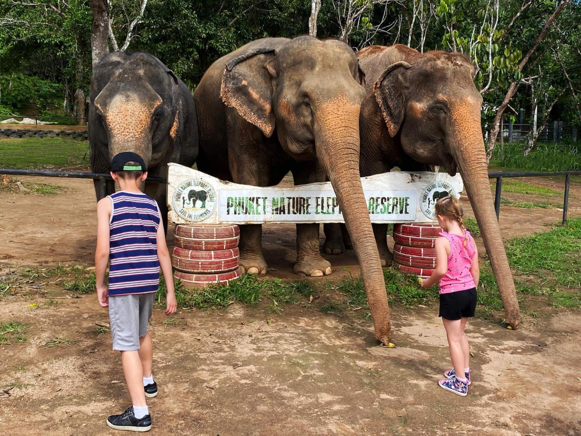 Snooze Inn Phuket - Free Shuttle To Bang Rong Pier Pa Khlok Luaran gambar